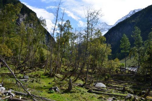 Österreich hinkt EU-Biodiversitätszielen hinterher