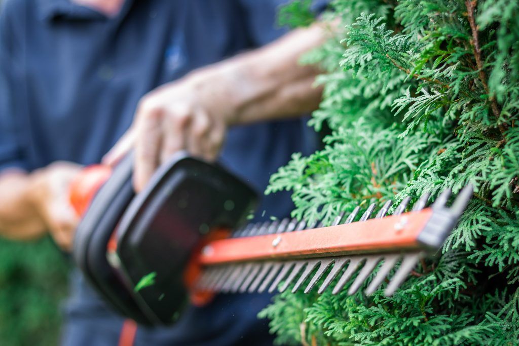 Was im Garten erlaubt  und was verboten ist