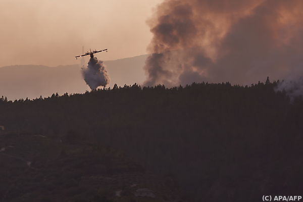 Waldbrand auf Teneriffa auf rund sieben Prozent der Insel