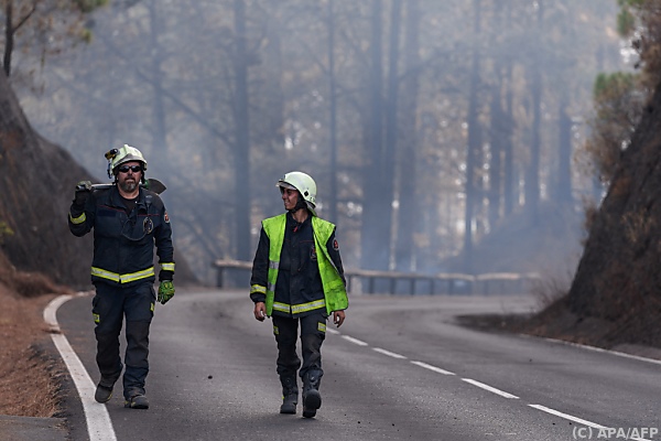 Evakuierte nach Waldbrand auf Teneriffa in Häusern zurück