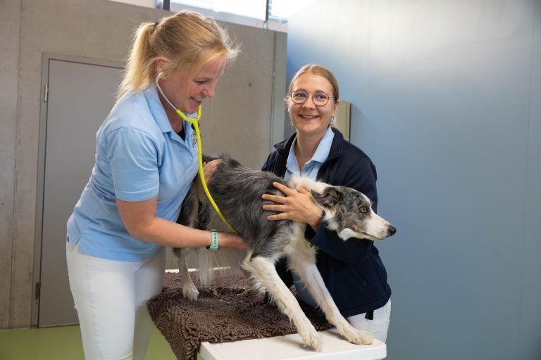 Antje Wolf und ihre Assistentin behandeln einen Patienten. <span class="copyright">Hartinger</span>