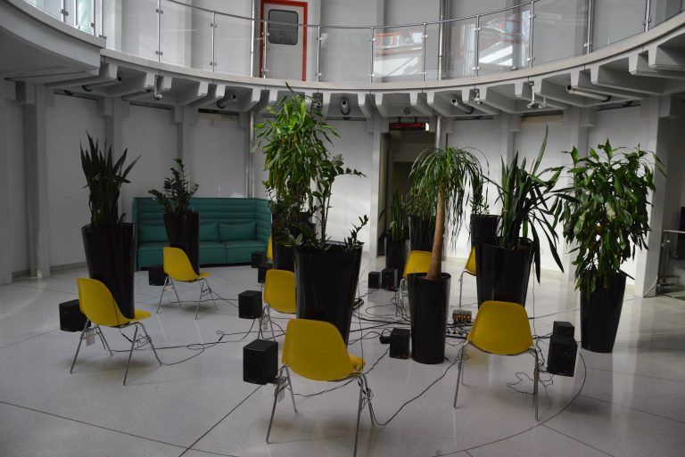 Die Ausstellung von Alexandra Berlinger <span class="copyright">Wolfgang Ölz</span>