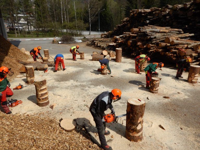 Den Motorsägenführerschein machen auch viele Personen, die nicht Bauern sind. <span class="copyright">Stephan Lampert</span>