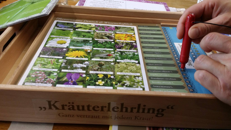 Der Zertifikatslehrgang Kräuterpädagogik zählt seit 15 Jahren zu den Rennern des LFI. <span class="copyright">LFI Vorarlberg</span>