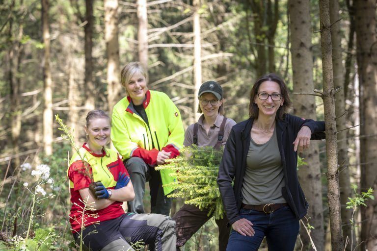 Beim Kurs "Waldspaziergänge für Frauen" lernen Waldbesitzerinnen und Jägerinnen Wichtiges über den Wald. <span class="copyright">Waldverband Steiermark</span>