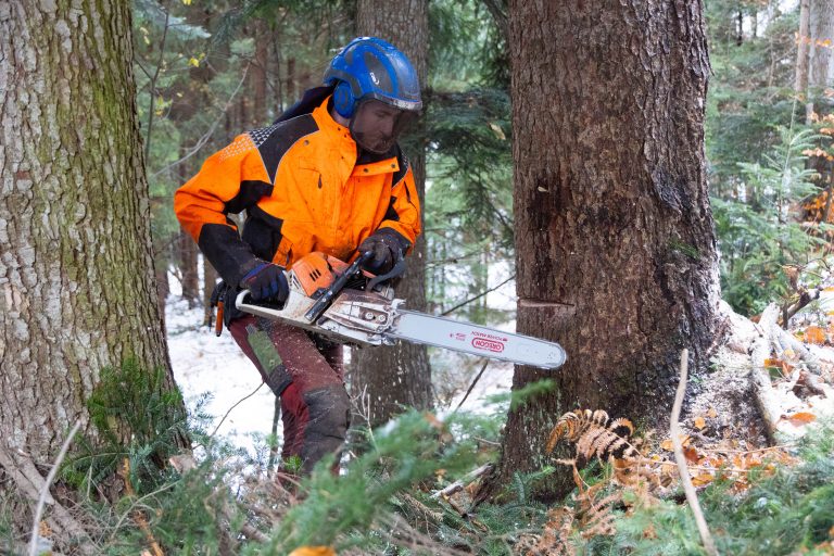 Die Arbeit im Wald ist gefährlich. Das musste auch der Jungunternehmer schon erfahren. <span class="copyright">hartinger</span>