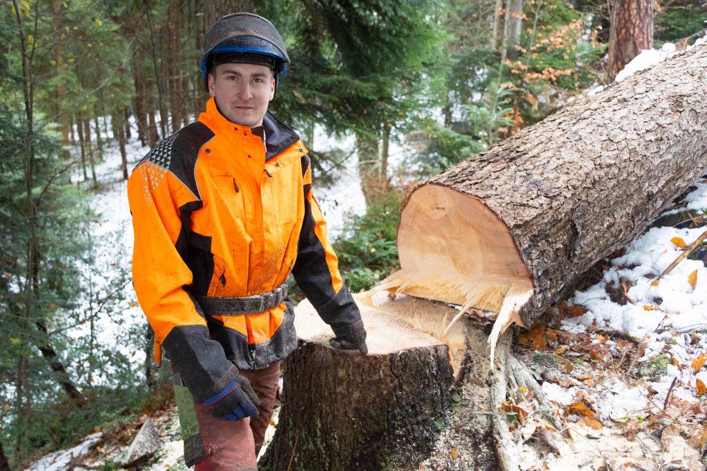 Mit Kran, Klettergurt und Motorsäge