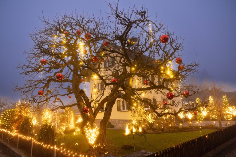 In der Feldkircher Illstraße schmücken sowohl Lichter, als auch Kugeln einen Garten. <span class="copyright">Hartinger</span>