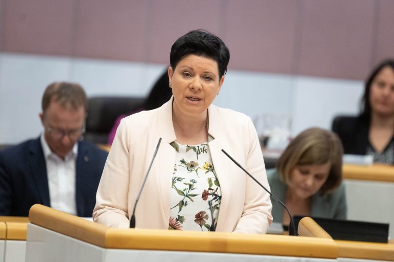 SPÖ-Abgeordnete Elke Zimmermann übte Kritik am Wohnpaket. <span class="copyright">Hartinger</span>