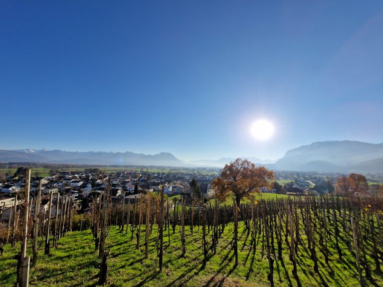 Der Blick auf das Rheintal in Richtung Süden. <s><span class="copyright">Vylet</span></s>