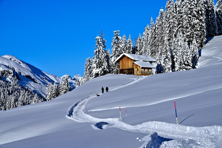 Die traumhaft schöne Winterlandschaft auf dem Weg nach Stubenbach. <span class="copyright">Vylet</span>