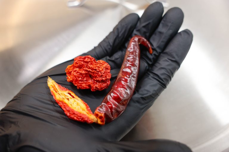Matthias Heinzle eigenangebaute Chilis <span class="copyright">NEUE</span>