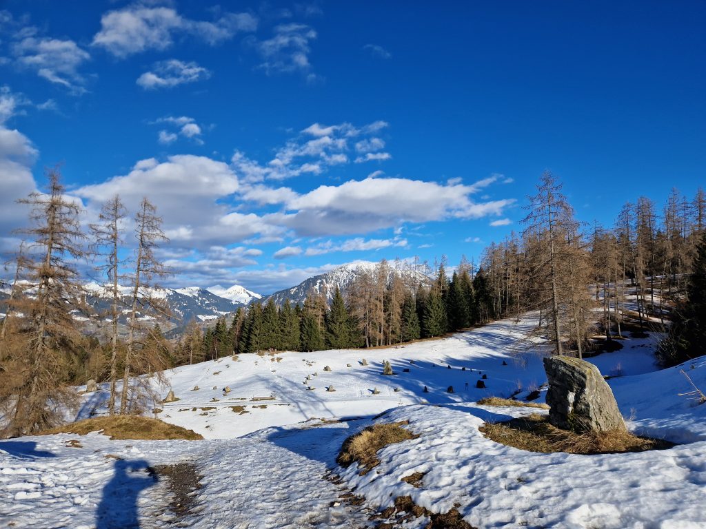 Lärchenzauber am sonnigen Hochplateau