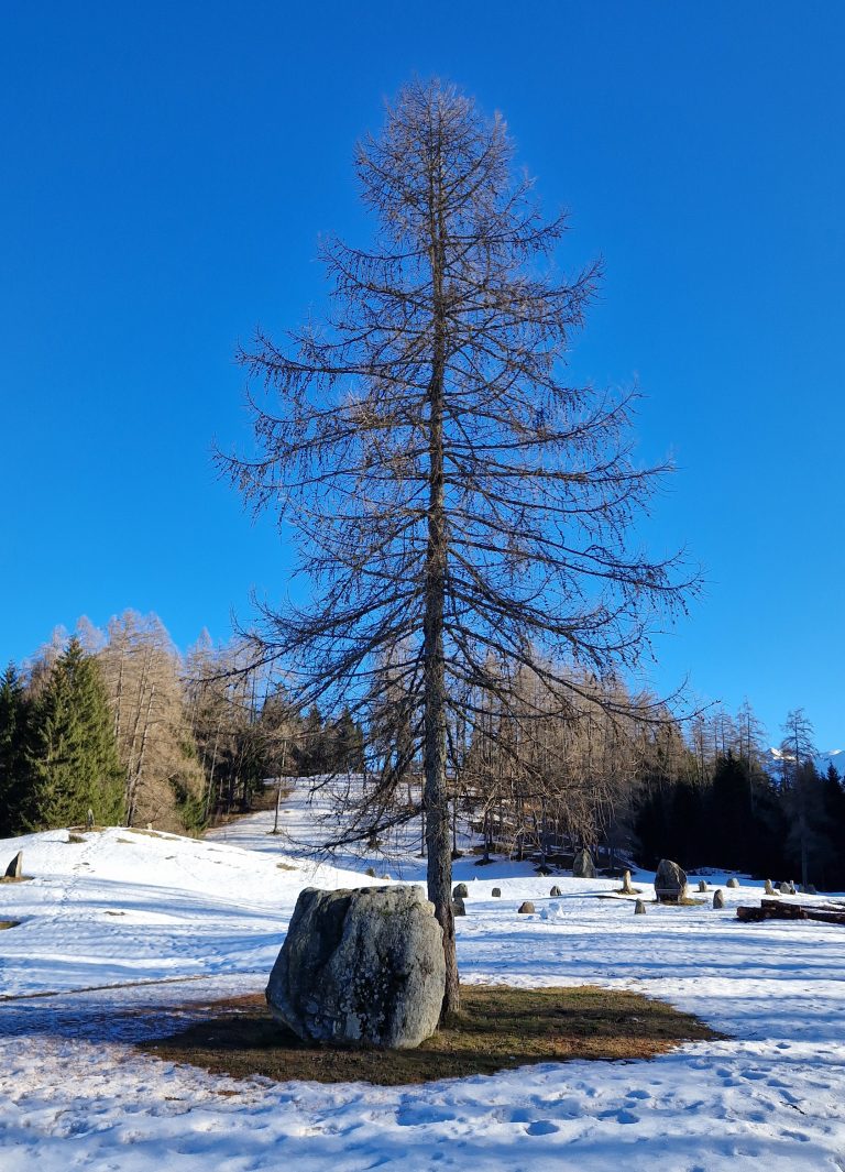 Der obere Steinkreis. Im Vordergrund ist Stein Nummer elf. <span class="copyright">Vylet</span>