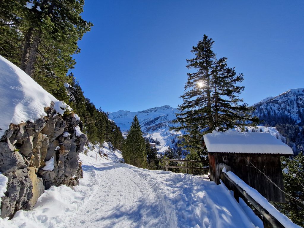 Naturerlebnisse in der Liechtensteiner Walsersiedlung