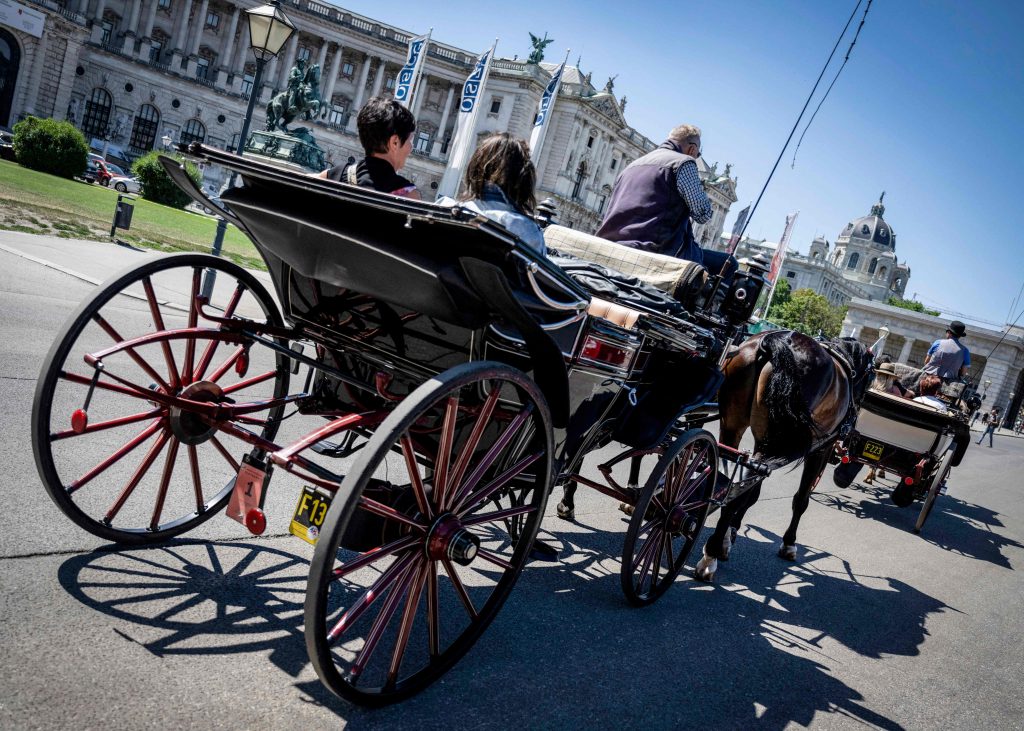 Zweijähriger fiel in Wien aus fahrendem Fiaker