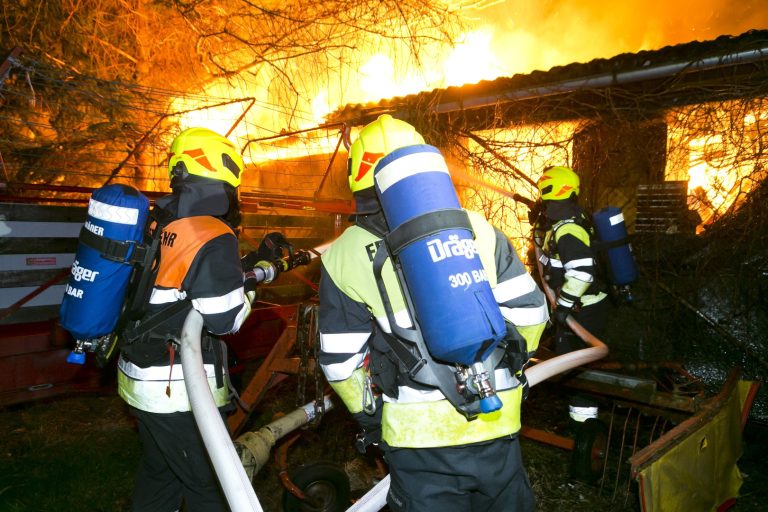 Fast 40 Prozent der Einsätze im Jahr 2023 entfielen auf Brandeinsätze. <span class="copyright">Landesfeuerwehrverband</span>