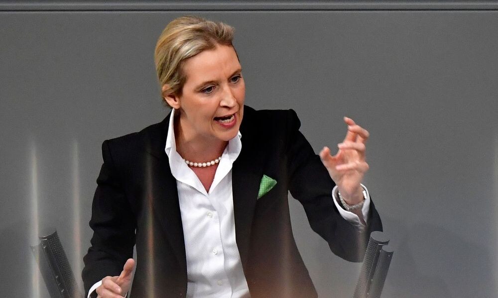 Deutsche AfD verliert in aktuellen Umfragen