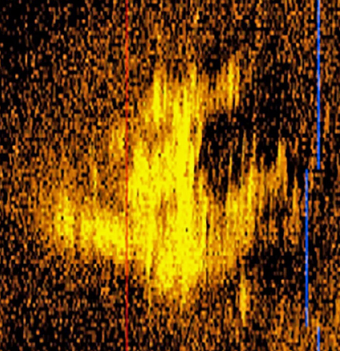 Das Sonarbild, das Hoffnung zur Lösung des Rätsels gibt<span class="copyright"> Deep Sea Vision</span>