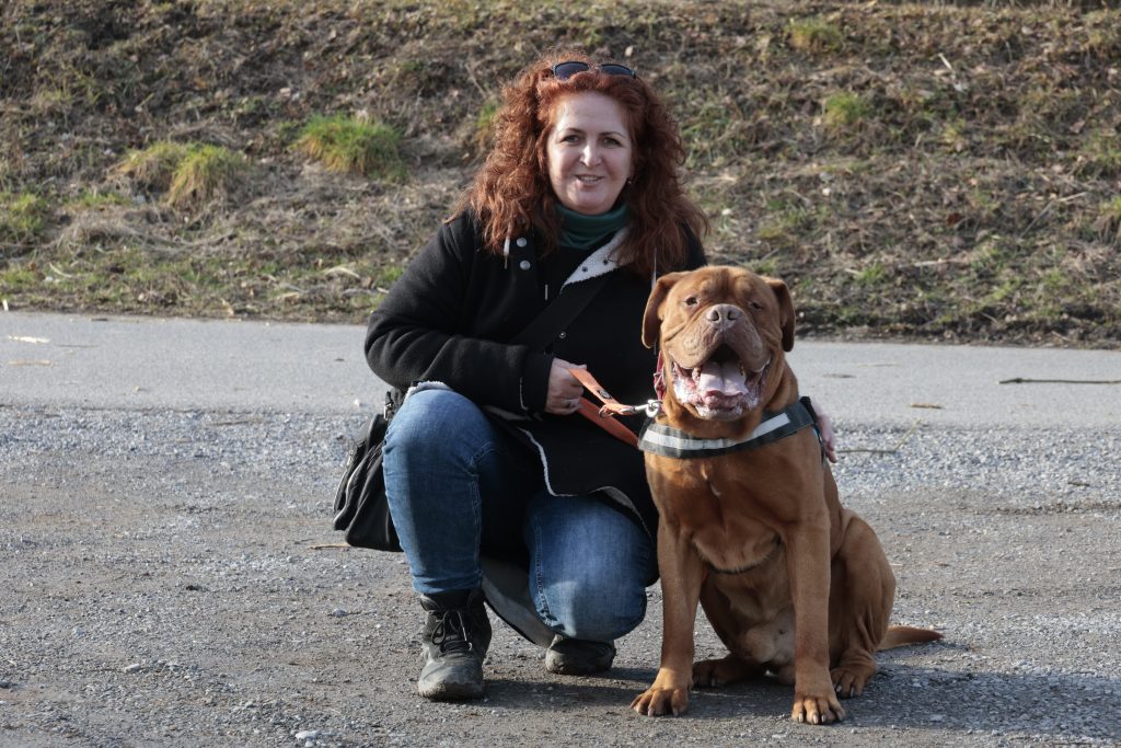 Sachkundenachweis für Hundebesitzer: Noch gibt es Unklarheiten