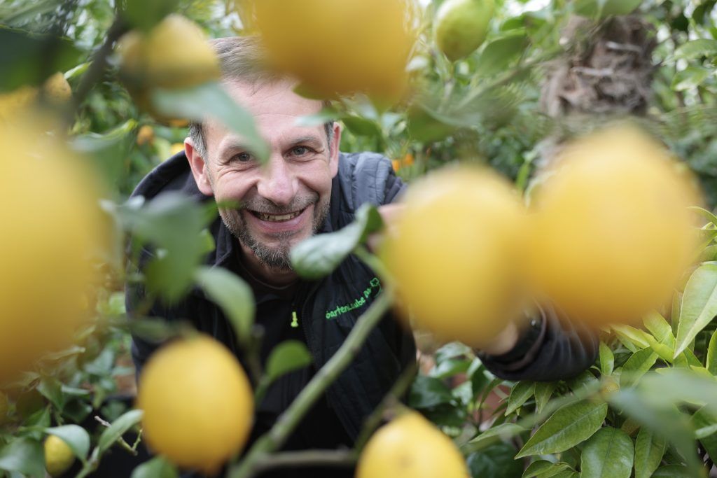 Bei ihm gibt es über 80 Tomatensorten