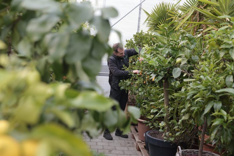 Es gibt immer was zu tun in der Gartenlaube. <span class="copyright">Hartinger</span>