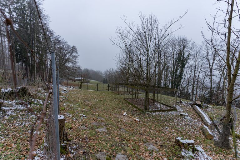 Das Gehege, das dem Wildpark jetzt nicht mehr zur Verfügung steht, misst 8000 Quadratmeter. <span class="copyright">Stiplovsek</span>