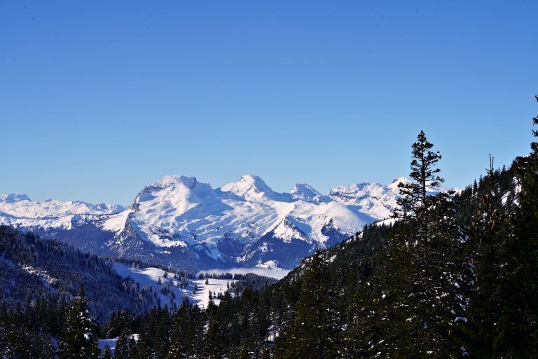 Gebirge fallen als Bauflächen weitgehend weg.<span class="copyright">Neue</span>