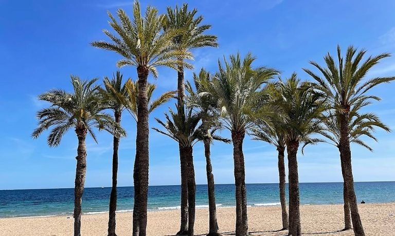 Die Costa Blanca ist beliebt bei Osteuropäern. <span class="copyright">hrast</span>