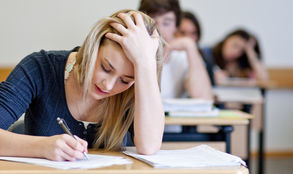 Go Student verzeichnet rund 220 Millionen Euro Verlust