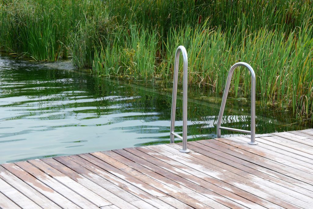 Preisminderung für mangelhaften Teich