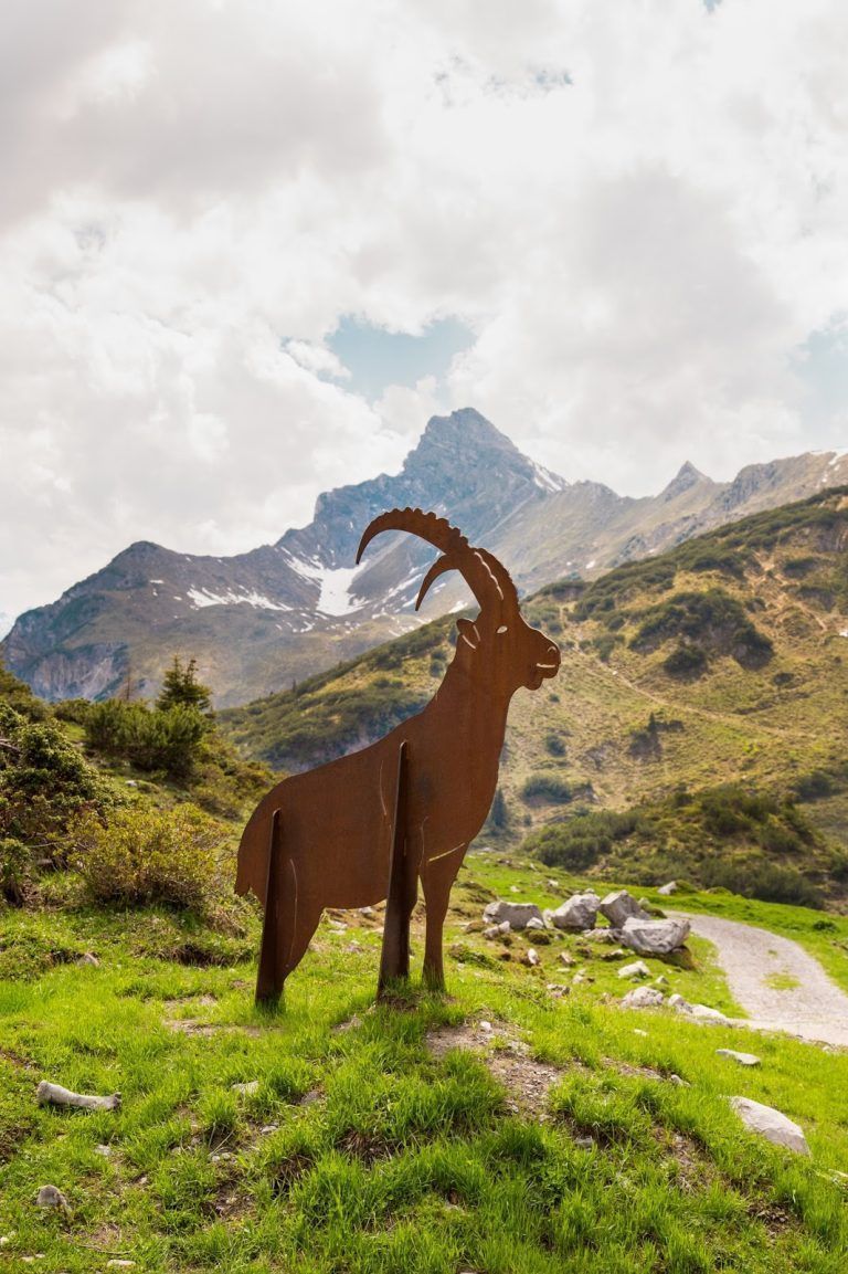 Die Steinbock-Statue am Formarinsee in Dalaas erinnert an die erfolgreiche Wiederansiedelung der Steinböcke in Vorarlberg. <span class="copyright">Alpenregion Bludenz</span>
