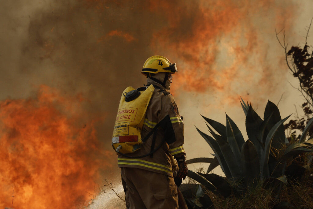 Waldbrände in Chile: 51 Tote, zahlreiche Vermisste