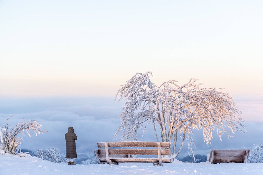 Kollaps im Atlantik würde Österreich eisige Winter bringen