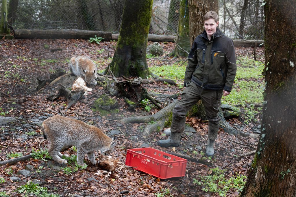 Begegnung im Wildpark: &#8220;Finde sie majestätisch&#8221;