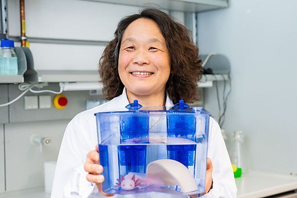 Biochemikerin Elly Tanaka wird neue IMBA-Leiterin