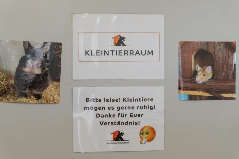 Warum lebende Kaninchen als Osterüberraschung keine gute Idee sind