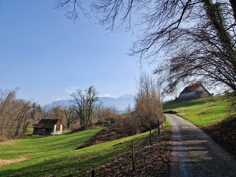 Rand des Schlosswalds von Salez bei der Ruine Hohensax Forstegg. <span class="copyright">Gerhard Vylet</span>