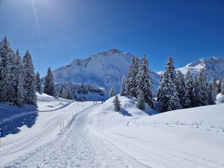 Wandertipp am Hochtannberg