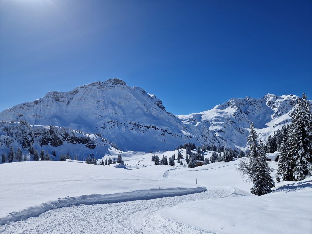 Eine Winterrunde am Tannberg