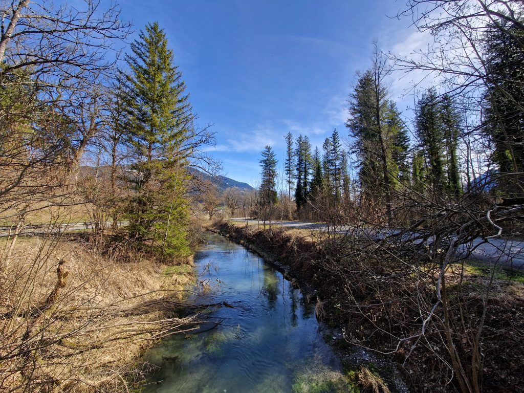 Frühling im Satteinser Ried