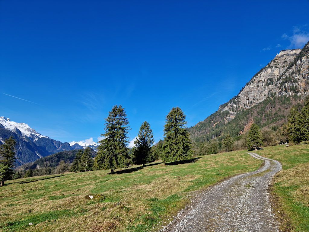 Sonnige Familienrunde in Braz