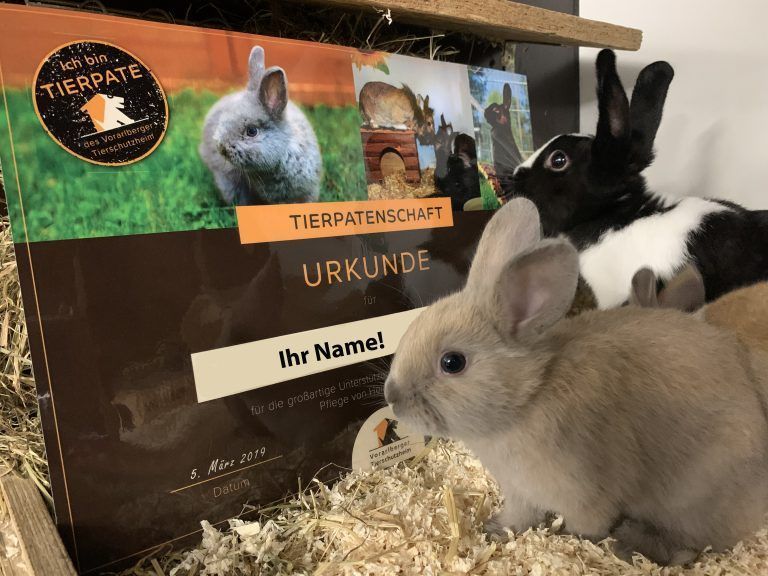 Tierecke, Tierschutzheim