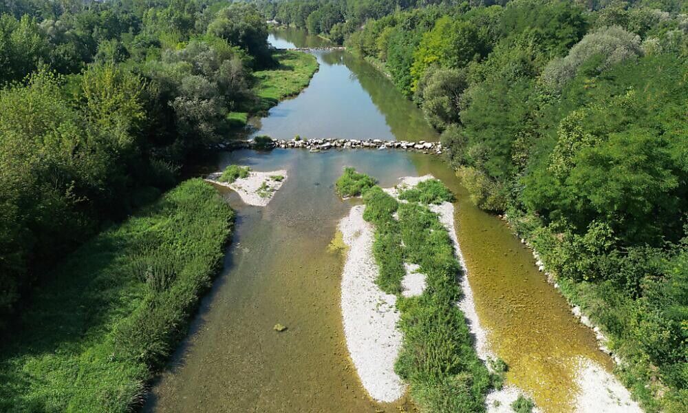 Österreichs Artenvielfalt unter Wasser ist stark bedroht