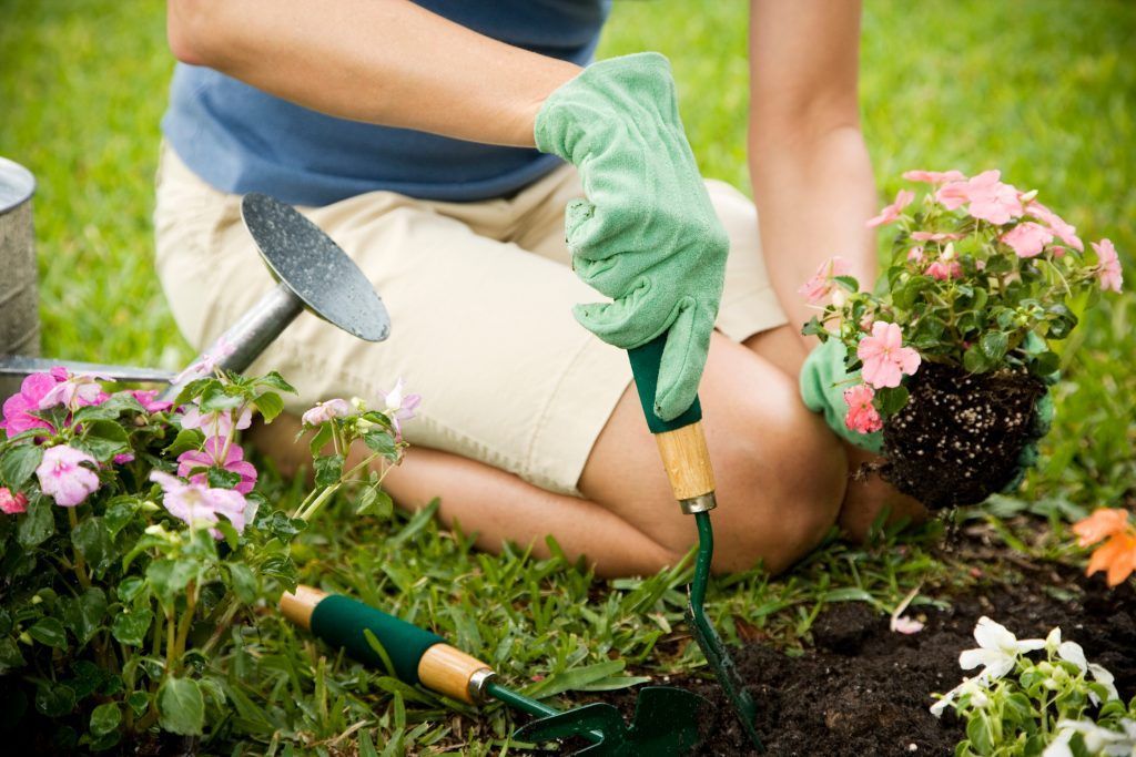 Von wilden Ecken bis zum Traumgarten
