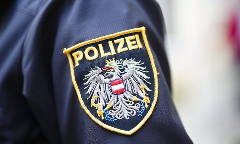 Die Frau befindet sich in U-Haft <span class="copyright">APA/Themenbild</span>
