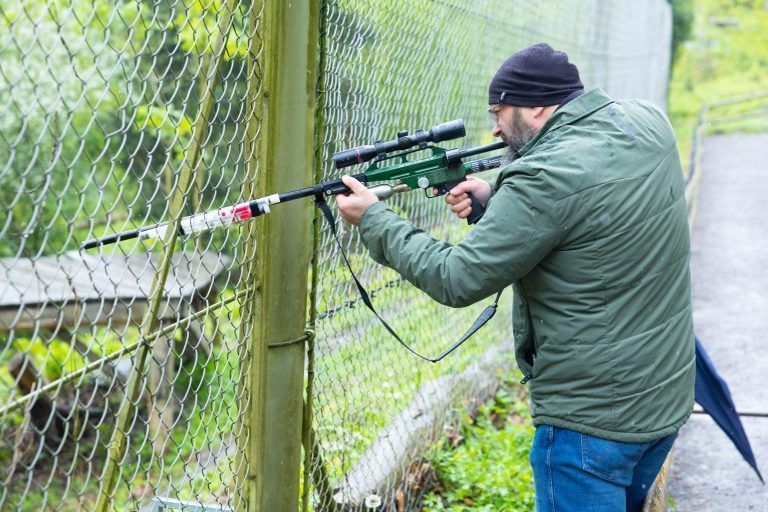 Zwei Wildpark-Luchse reisen heute nach Polen
