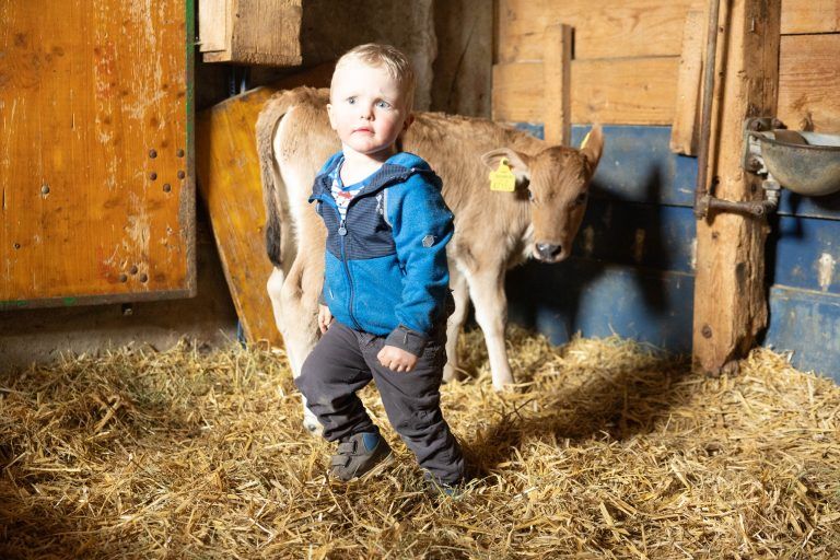 Wir sind bei Familie Meusburger-Flatz. Ich brauche Fotos von der Bauernfamilie, den Tieren, dem Stall, dem Hofladen und dem Käse
