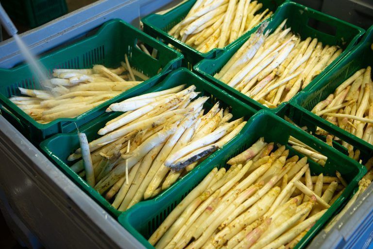 Kälte, Frost und Schnee: So geht es den Obstbauern