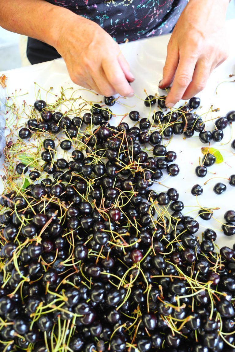 Kälte, Frost und Schnee: So geht es den Obstbauern